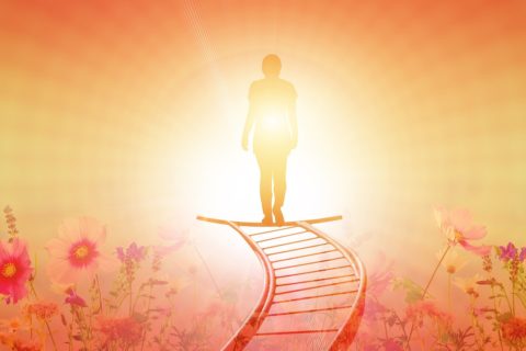 mindful life transitions
